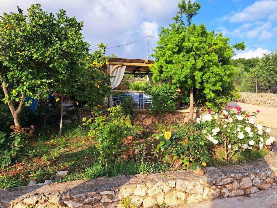 Fragosiko - Rustic Retreat In Kefalonia 아르고스톨리온 외부 사진